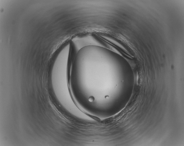 X0000067900448200604201339