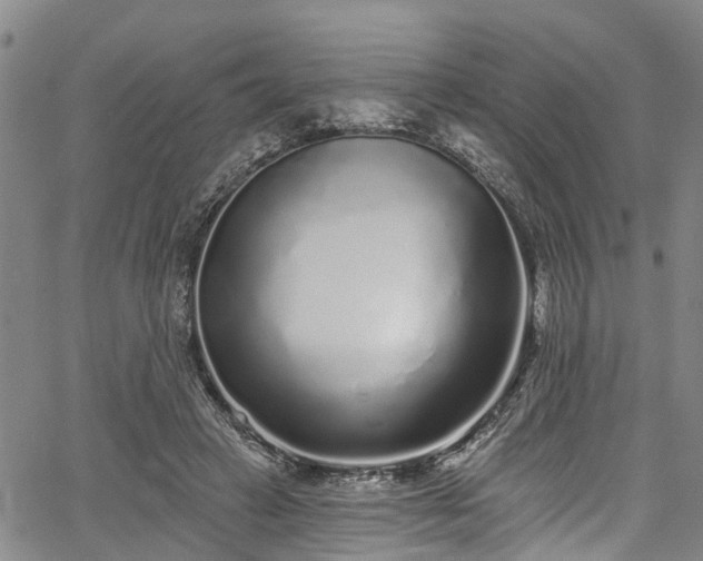 X0000067900449200604201339