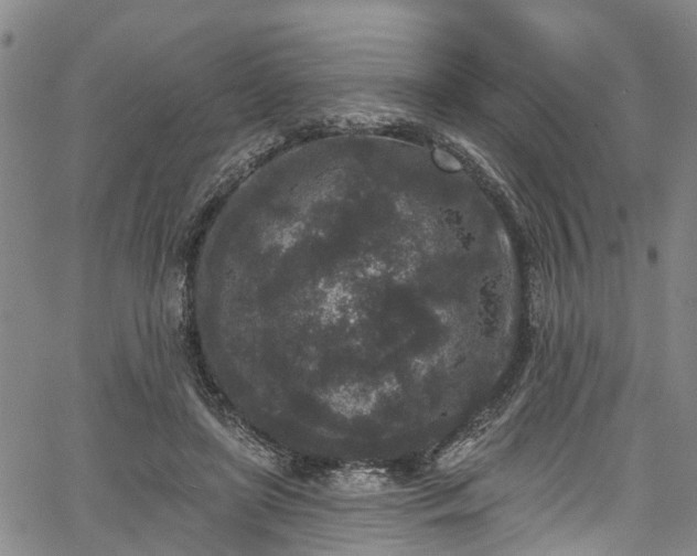 X0000067900451200604201339