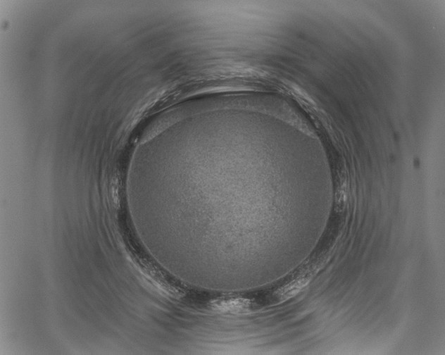 X0000067900452200604201339