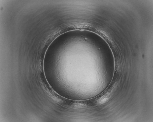 X0000067900453200604201339