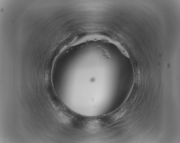 X0000067900456200604201339