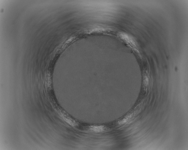 X0000067900457200604201339