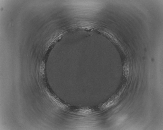 X0000067900458200604201339