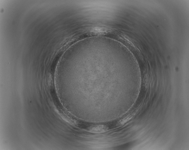 X0000067900459200604201339