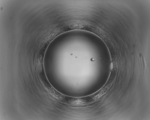 X0000067900460200604201339