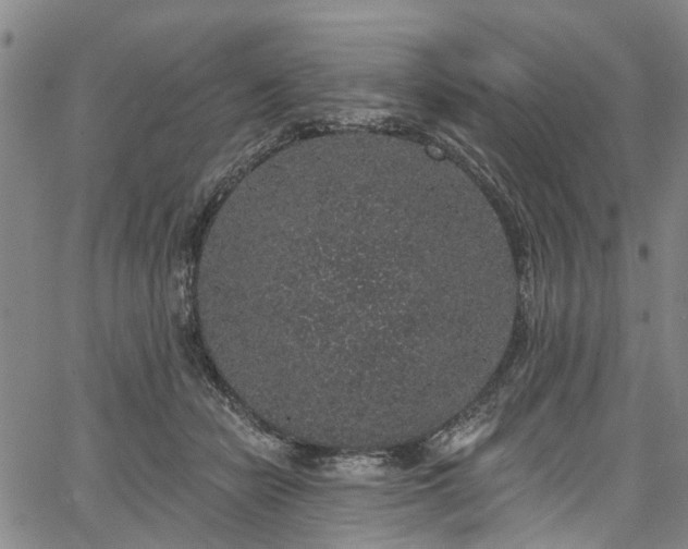 X0000067900462200604201339