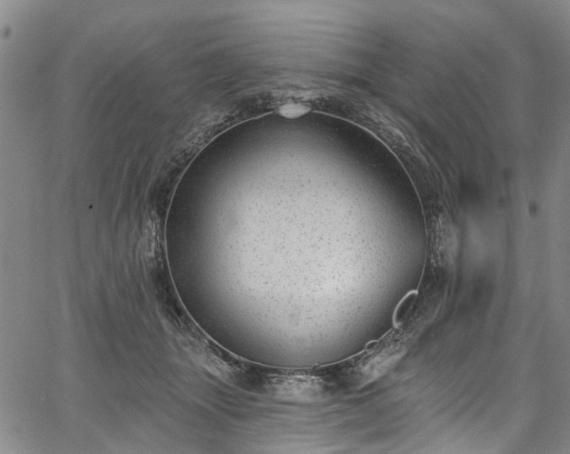 X0000067900463200604201339