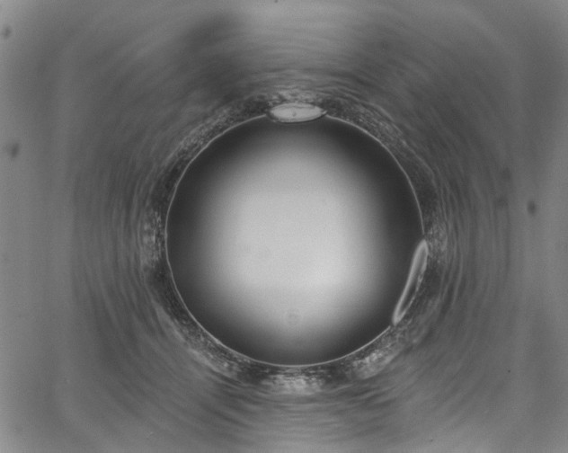 X0000067900464200604201339