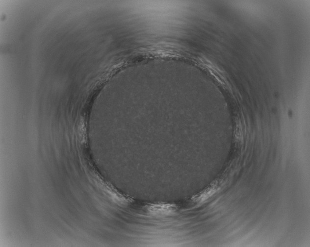 X0000067900465200604201339