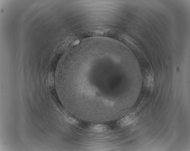 X0000067900467200604201339