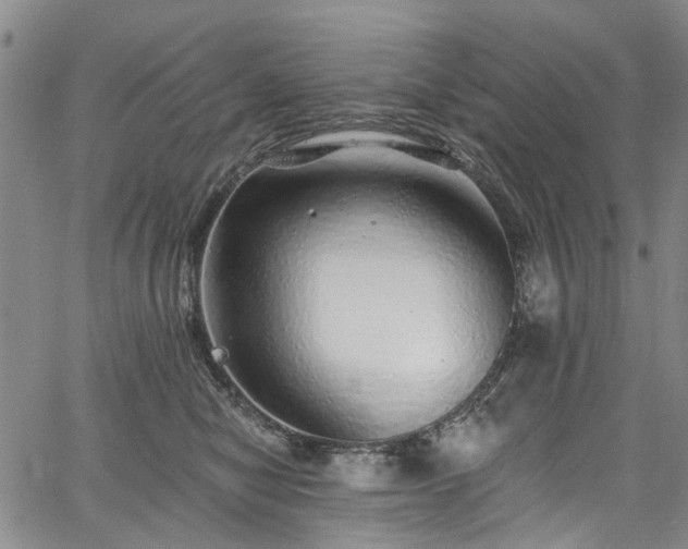 X0000067900470200604201339