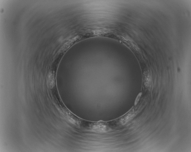 X0000067900471200604201339