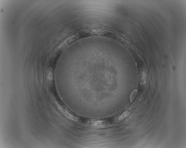 X0000067900472200604201339