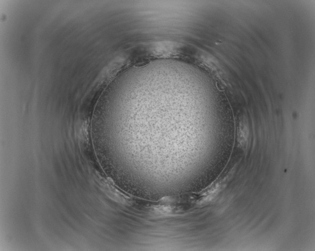 X0000067900473200604201339