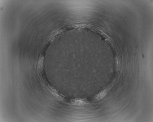 X0000067900475200604201339