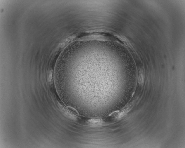 X0000067900477200604201339