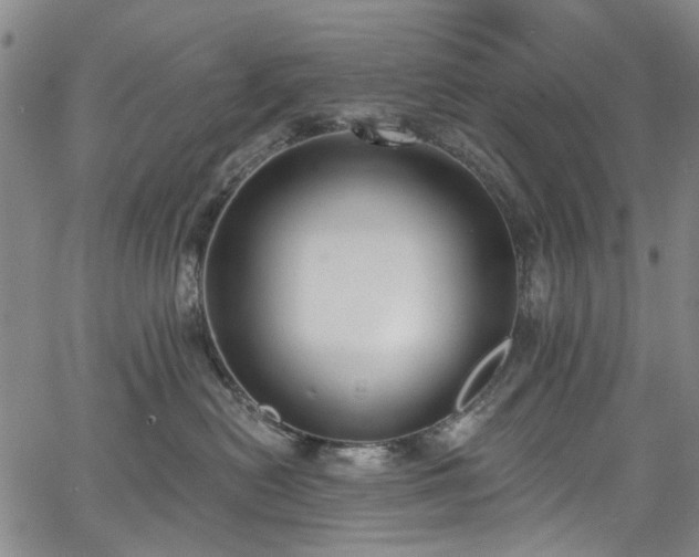 X0000067900478200604201339