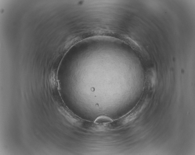 X0000067900479200604201339