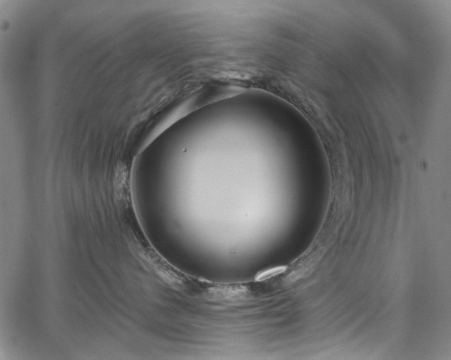 X0000067900480200604201339