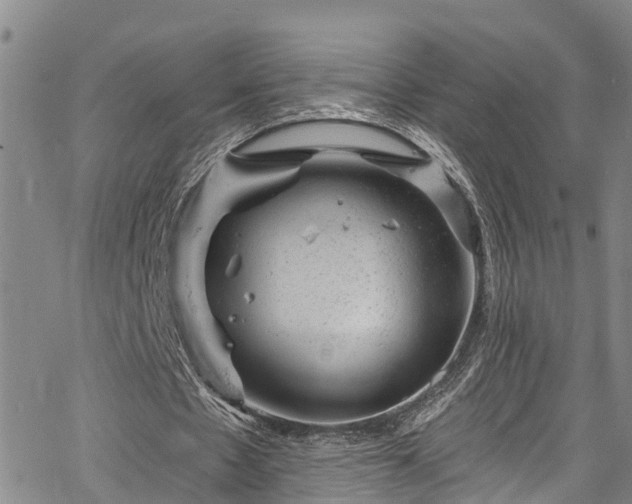 X0000067900481200604201339