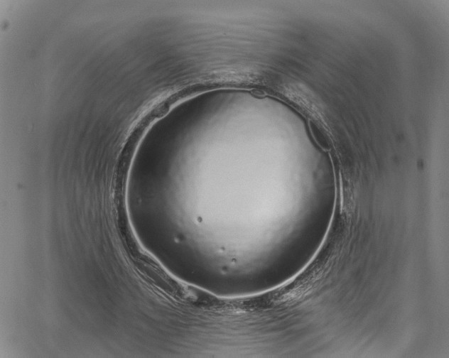 X0000067900483200604201339