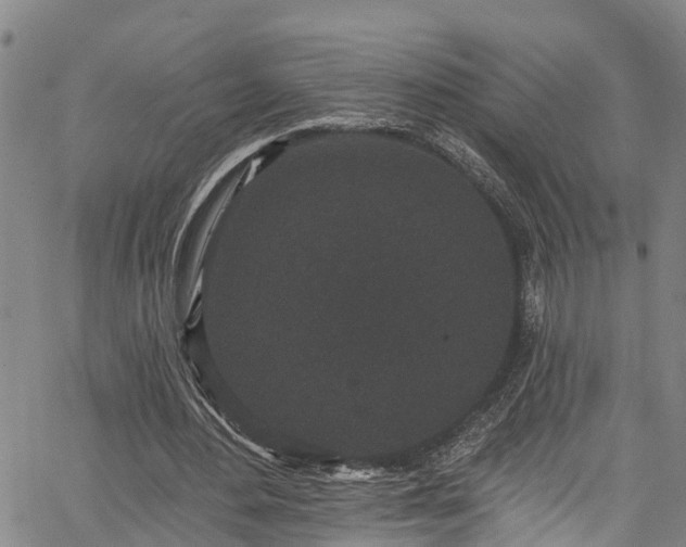 X0000067900484200604201339