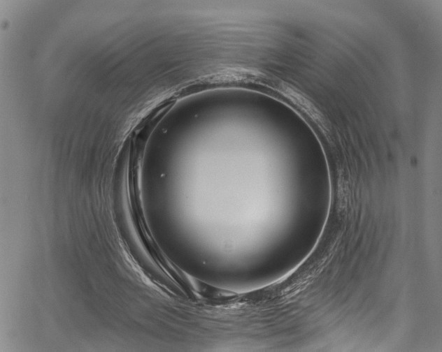 X0000067900485200604201339