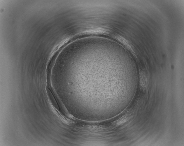 X0000067900486200604201339