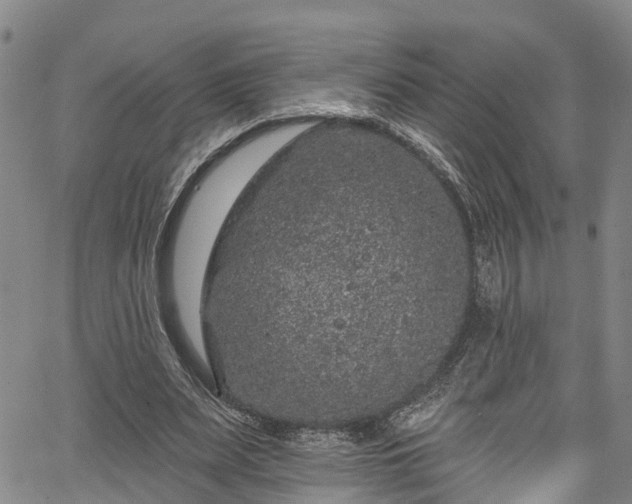 X0000067900487200604201339