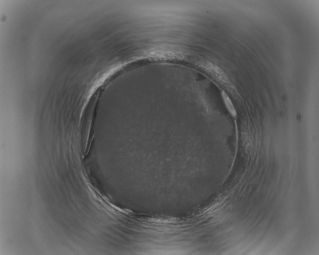 X0000067900488200604201339