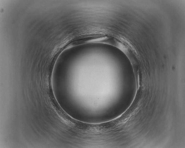 X0000067900489200604201339