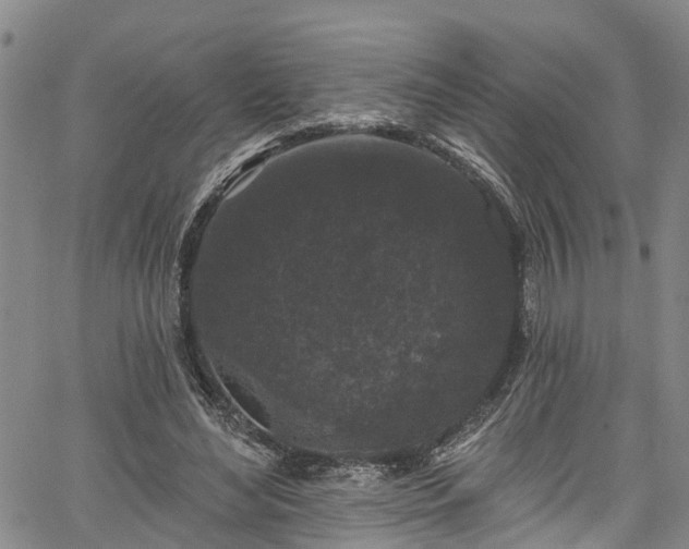 X0000067900492200604201338