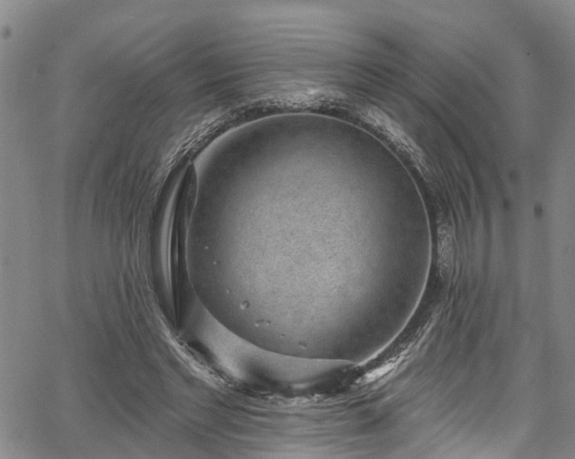 X0000067900493200604201338