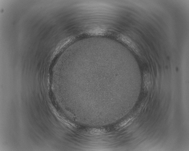 X0000067900494200604201338