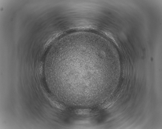 X0000067900495200604201338