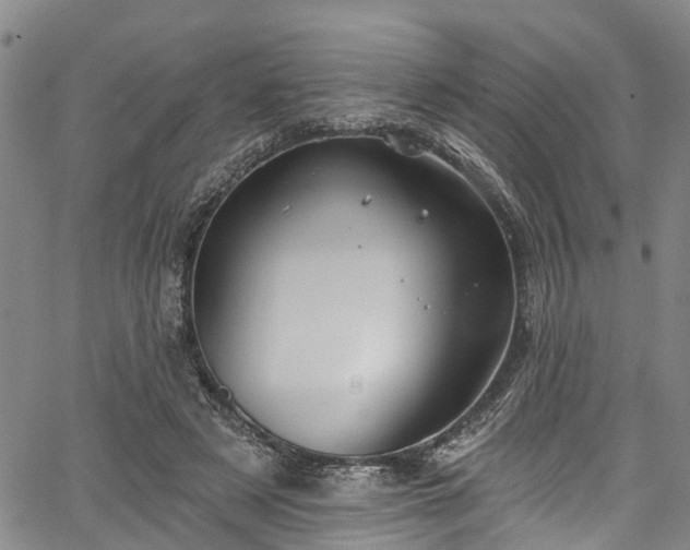 X0000067900497200604201338