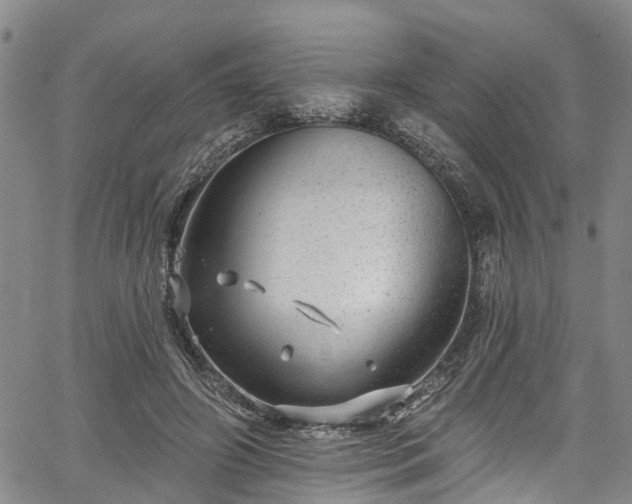 X0000067900498200604201338