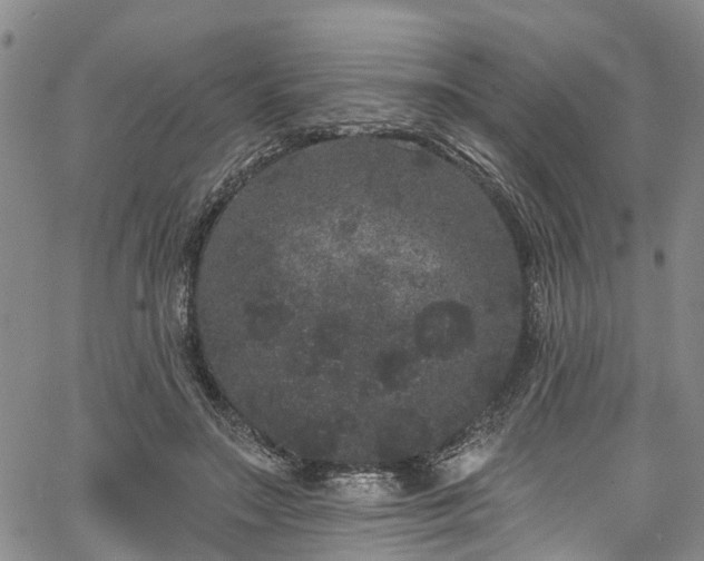 X0000067900499200604201338