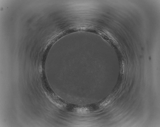 X0000067900500200604201338