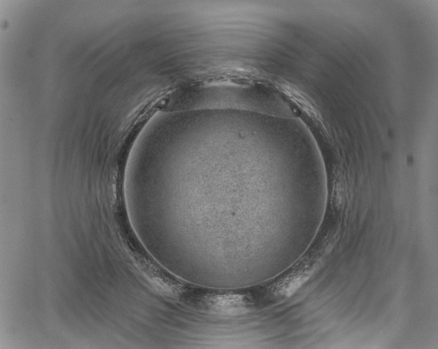 X0000067900501200604201338