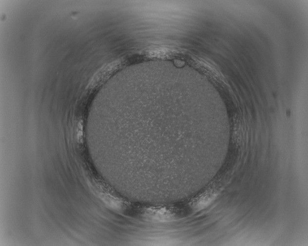 X0000067900502200604201338