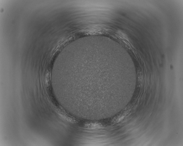 X0000067900503200604201338