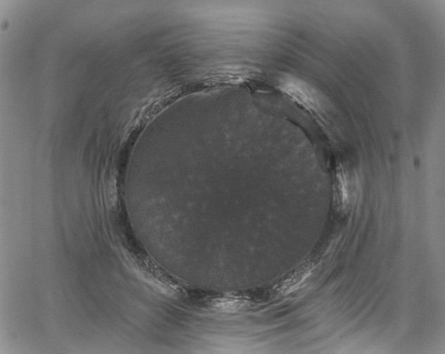 X0000067900504200604201338