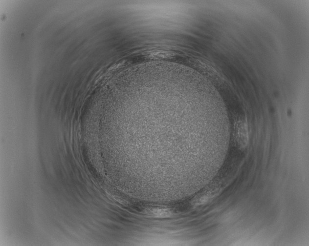 X0000067900506200604201338