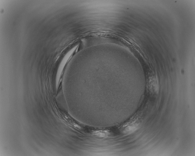 X0000067900508200604201338