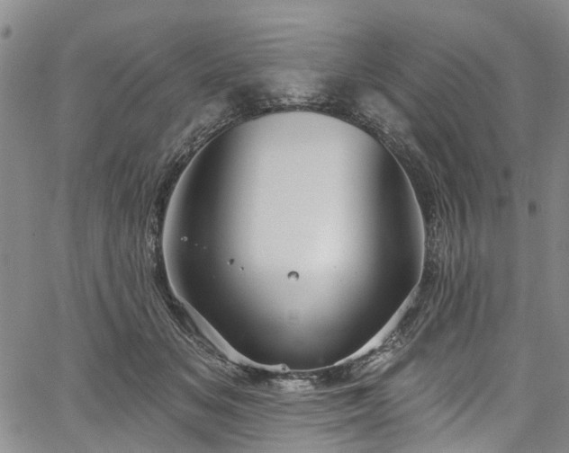 X0000067900509200604201338