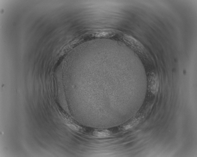 X0000067900510200604201338