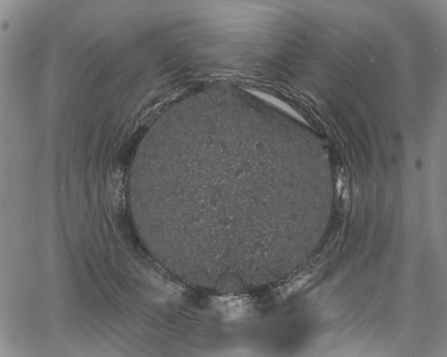 X0000067900511200604201338