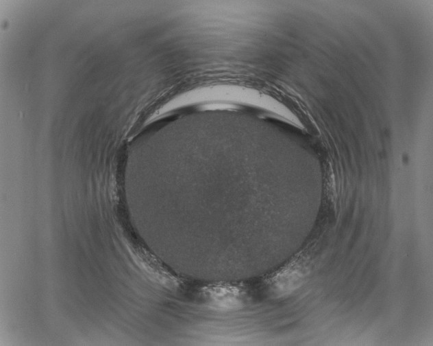 X0000067900512200604201338